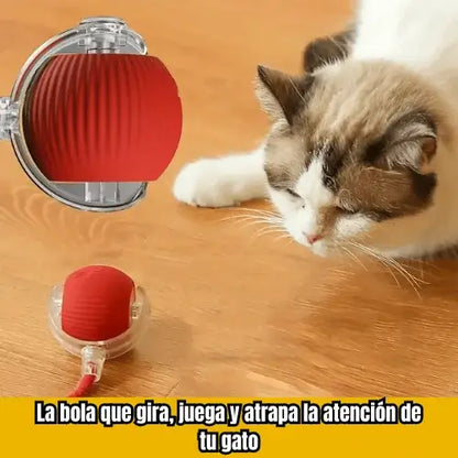 Pelota de baile para gatos